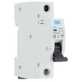 BG Fortress C Curve MCB 10A CUMC10 Available from RS Electrical Supplies
