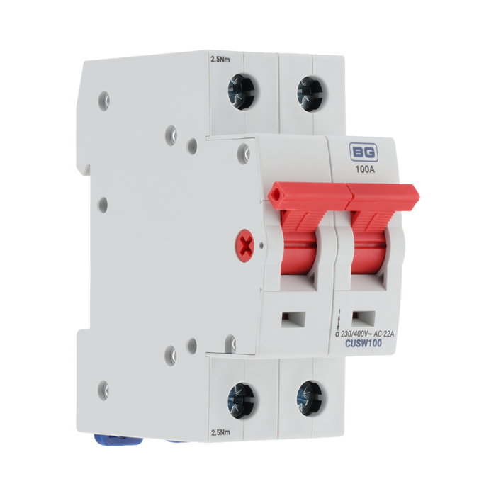 BG Circuit Protection  100A Double Pole Main Switch CUSW100 — product view 1