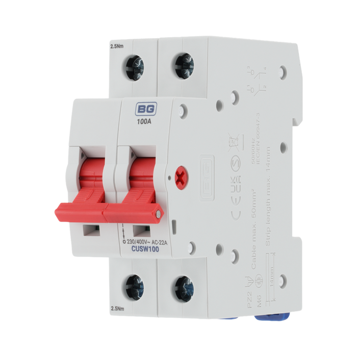 BG Circuit Protection  100A Double Pole Main Switch CUSW100 — product view 3