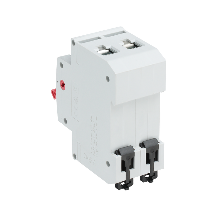 BG Circuit Protection  100A Double Pole Main Switch CUSW100