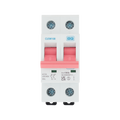 BG Circuit Protection  100A Double Pole Main Switch CUSW100