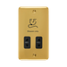 Front view of Click Deco Plus Polished Brass Shaver Socket