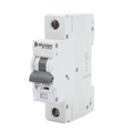 Elucian B Curve SP MCB 50A CU1MCB50B