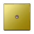 BG Screwless Polish Brass Coaxial Socket FPB60