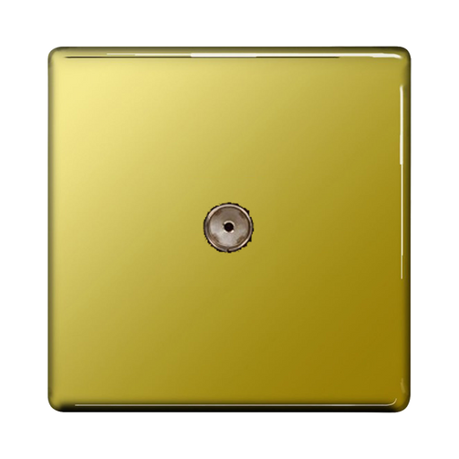 BG Screwless Polish Brass Coaxial Socket FPB60
