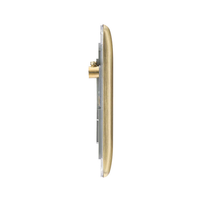 BG Nexus Metal Antique Brass 1G Euro Plate NABEMS1
