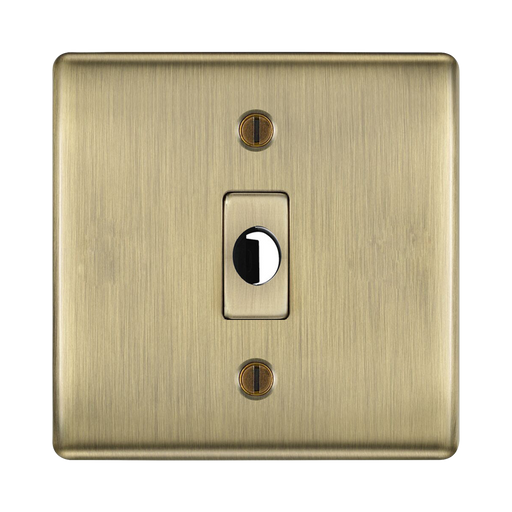BG Nexus Metal Antique Brass Flex Outlet NABFLEX