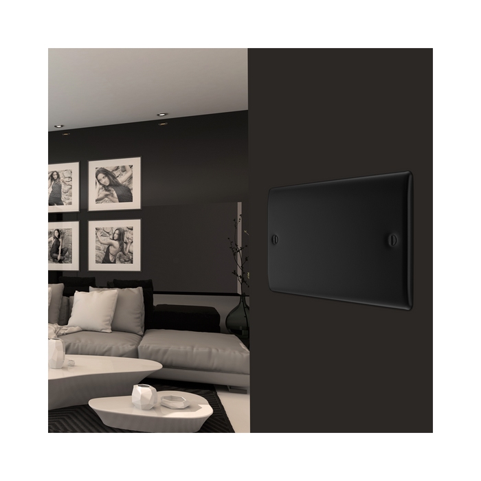 BG Nexus Metal Matt Black Double Blank Plate NFB95