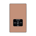 BG Evolve Polished Copper Dual Voltage Shaver Socket PCDCP20B – straight-on front view