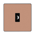 BG Evolve Polished Copper Flex Outlet PCDCPFLEXB