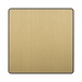 Front view of BG Evolve Satin Brass Single Blank Plate