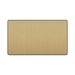 Front view of BG Evolve Satin Brass Double Blank Plate