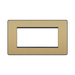 Front view of BG Evolve Satin Brass 4G Euro Module Plate