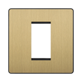 BG Evolve Satin Brass 1G Euro Module Plate PCDSBEMS1B