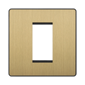 Front view of BG Evolve Satin Brass 1G Euro Module Plate