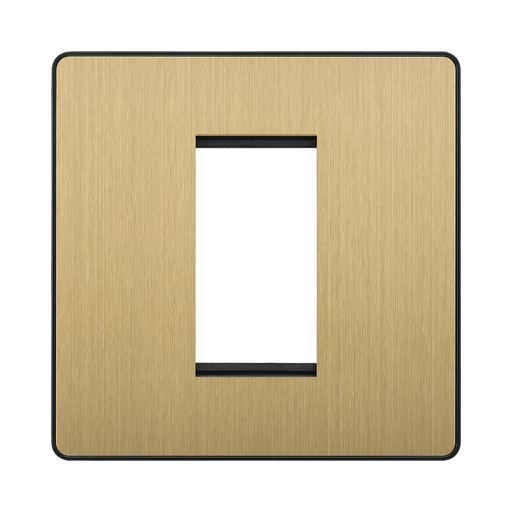 Front view of BG Evolve Satin Brass 1G Euro Module Plate