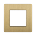 Front view of BG Evolve Satin Brass 2G Euro Module Plate