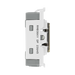 BG Antique Brass 20A Double Pole Grid Key Switch RAB30KY – product view 4