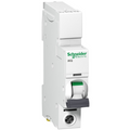 Schneider Square D IKQ 25A Single Pole 10kA D Curve MCB SE10D125