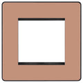 BG Evolve Polished Copper 2G Euro Module Plate PCDCPEMS2B Available from RS Electrical Supplies