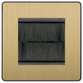 BG Evolve Satin Brass 2G Cable Brush Outlet PCDSB2GBRB Available from RS Electrical Supplies