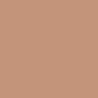 Polished Copper